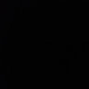 Meet your Posher, Dominick